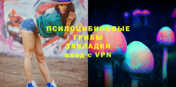 винт Алексеевка